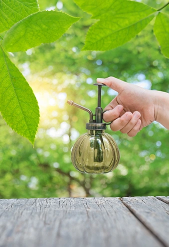 Natural & Eco-Friendly Solutions